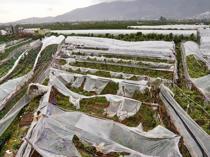 Antalya authorities mobilize amid severe rain, tornado damage