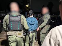 Authorities repatriate 14 criminals from Georgia, Europe