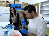 Experts study Tuz Lake’s salt-tolerant plants to power high-value industries