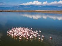 Great Menderes Delta protects wildlife with rich wetlands