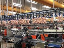 Trade Ministry halts chicken exports ahead of Ramadan