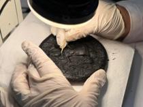 Breads depicting Jesus conserved after two years