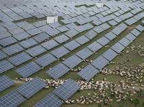 Solar, wind capacity growth slowed last year: Analysis