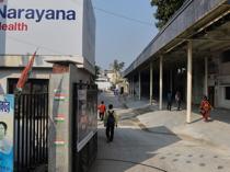 Risk of Nipah spread low, says WHO