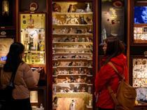 Crowds flock to Istanbuls Museum of Innocence before TV adaptation