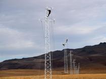 $19 billion investment planned in electricity distribution