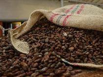 Türkiye cocoa exports hit all-time high of $1.7 billion in 2025