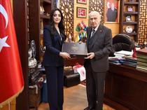 MHP publishes book compiling projects from Bahçeli era