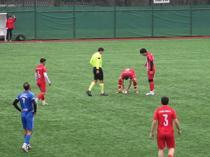 Turkish footballer hailed as hero after saving stunned seagull