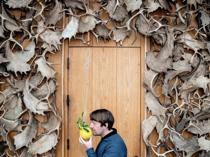 Question behind Noma controversy