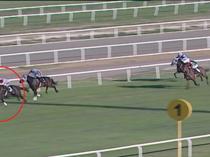 Owner fined after racehorse meat served at Turkish soup kitchen