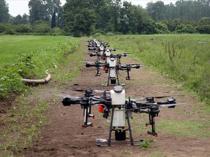 Digital transformation placed at the heart of agriculture