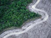 Brazils new climate plan targets deforestation