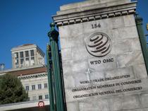 Weakened WTO set for high-level meet under cloud of Mideast war