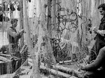 Ara Güler ‘Mastering the Image’ opens in France