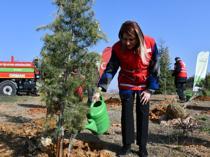 Türkiye targets 600 million saplings in nationwide afforestation drive