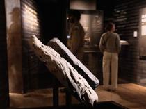 UN: African slave trade gravest crime against humanity