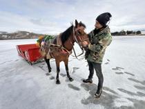 Horse-drawn sleigh season ends at Çıldır Lake as ice thaws