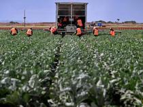 Iran war drives food price pressures in Türkiye and globally