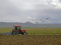 War puts Turkish farmers in a ‘low yield or high cost’ dilemma