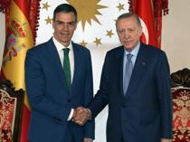 Erdoğan, Spains Sanchez discuss ties, regional issues