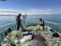 Fishermen cast final nets in Van Lake ahead of seasonal fishing ban