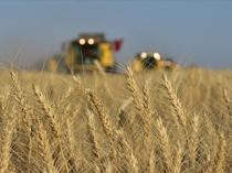 Türkiye to launch AI-powered farm project to attract young farmers