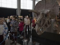 Biodiversity museum boosts science and tourism
