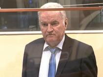 Butcher of Bosnia Mladic suffers stroke: Son