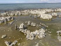 Van Lake microbialites advance in Guinness World Records bid