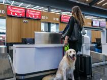 Türkiye targets booming pet-friendly tourism market to boost int’l growth