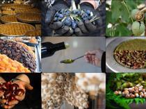 EU registration of Turkish geographical indications accelerates