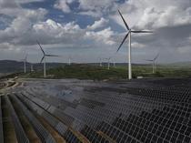 Renewables account for almost all new power capacity in 2025