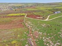 Japanese, Chinese archaeologists to join Neolithic digs