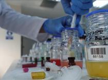Chemical sector remains second‑largest exporter