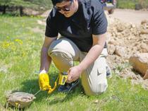 Endangered land tortoises tracked via satellite at university campus