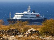 WHO: 2 hantavirus cases confirmed, 5 suspected on cruise ship