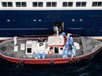 Three suspected hantavirus cases evacuated from cruise ship: WHO