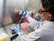 First hantavirus infection could not have been during cruise: WHO expert