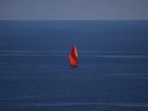Sea temperatures near all-time highs as El Nino looms: Monitor