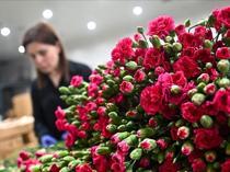 Mother’s Day to drive $9 bln in e-commerce volume