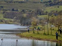 Scenic old road emerges as alternative spring route for nature lovers