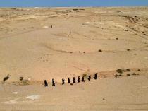 Iraqi parliament to summon ministers over report on Israel’s base