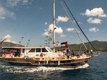 Gaza-bound flotilla says Israeli forces intercepting fleet near Cyprus