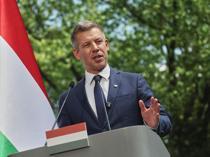 Ukraine, Hungary FMs hold online talks to reset ties