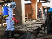 Ebola toll tops 200, other African countries seen at risk