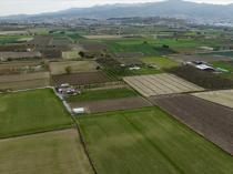 Rains boost Türkiye’s grain output but hurt fruit, vegetable quality