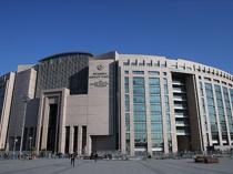 Irish tourist wins compensation lawsuit after stray dog attack at Istanbul metro station