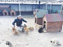 Nevşehir animal town rehomes 150 dogs this year