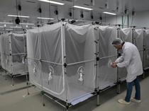 Brazil suspends dengue vaccine following two deaths